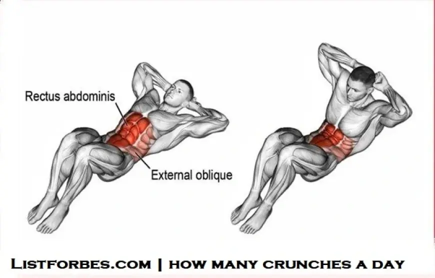 how many crunches a day