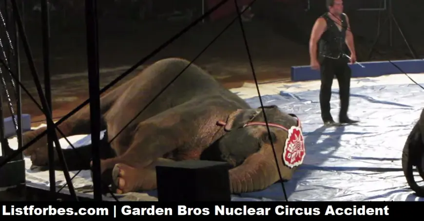 Tragedy at Garden Bros Nuclear Circus Accident : What Happened?