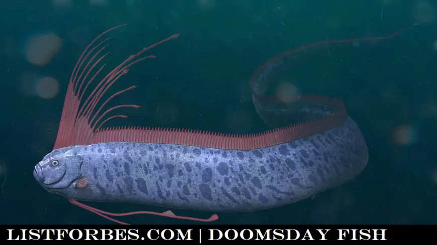 doomsday fish