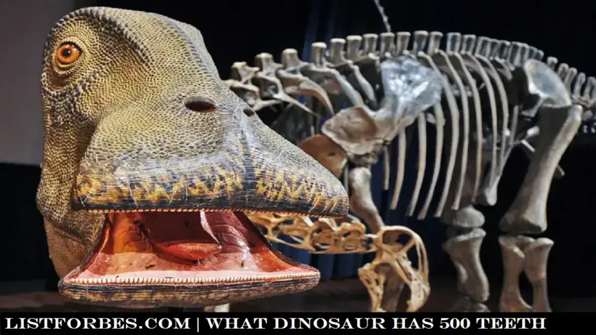 Which Dinosaur Has 500 Teeth? Meet the Nigersaurus