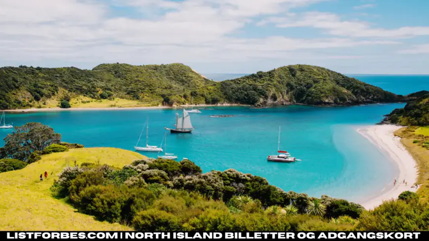 North Island billetter og adgangskort: Everything You Need to Know