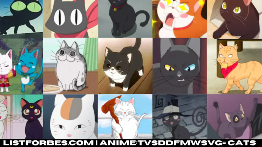 Anime:tvsddfmwsvg= Cats