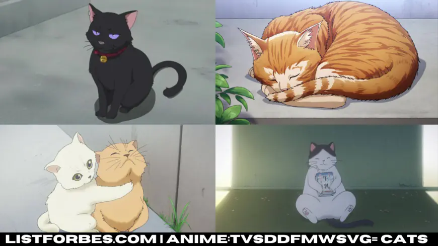 Anime:tvsddfmwsvg= Cats